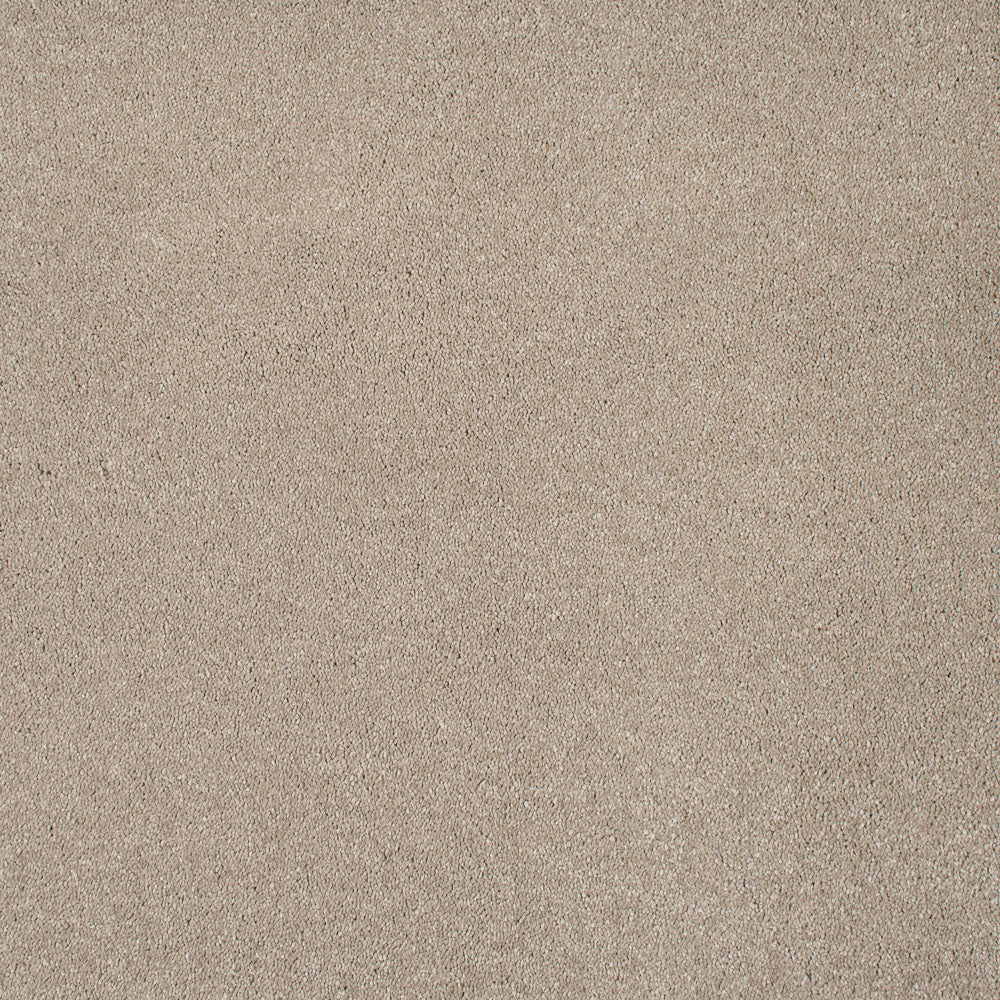 Suede 37 Orion 50oz Invictus Carpet - Image 5