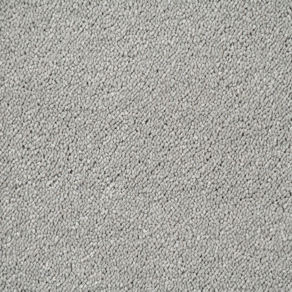 Suede Stainfree Caress Carpet by Abingdon - Image 3