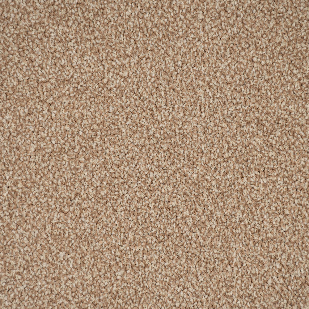 Summer Breeze Stainfree Ultra Carpet by Abingdon - Image 3
