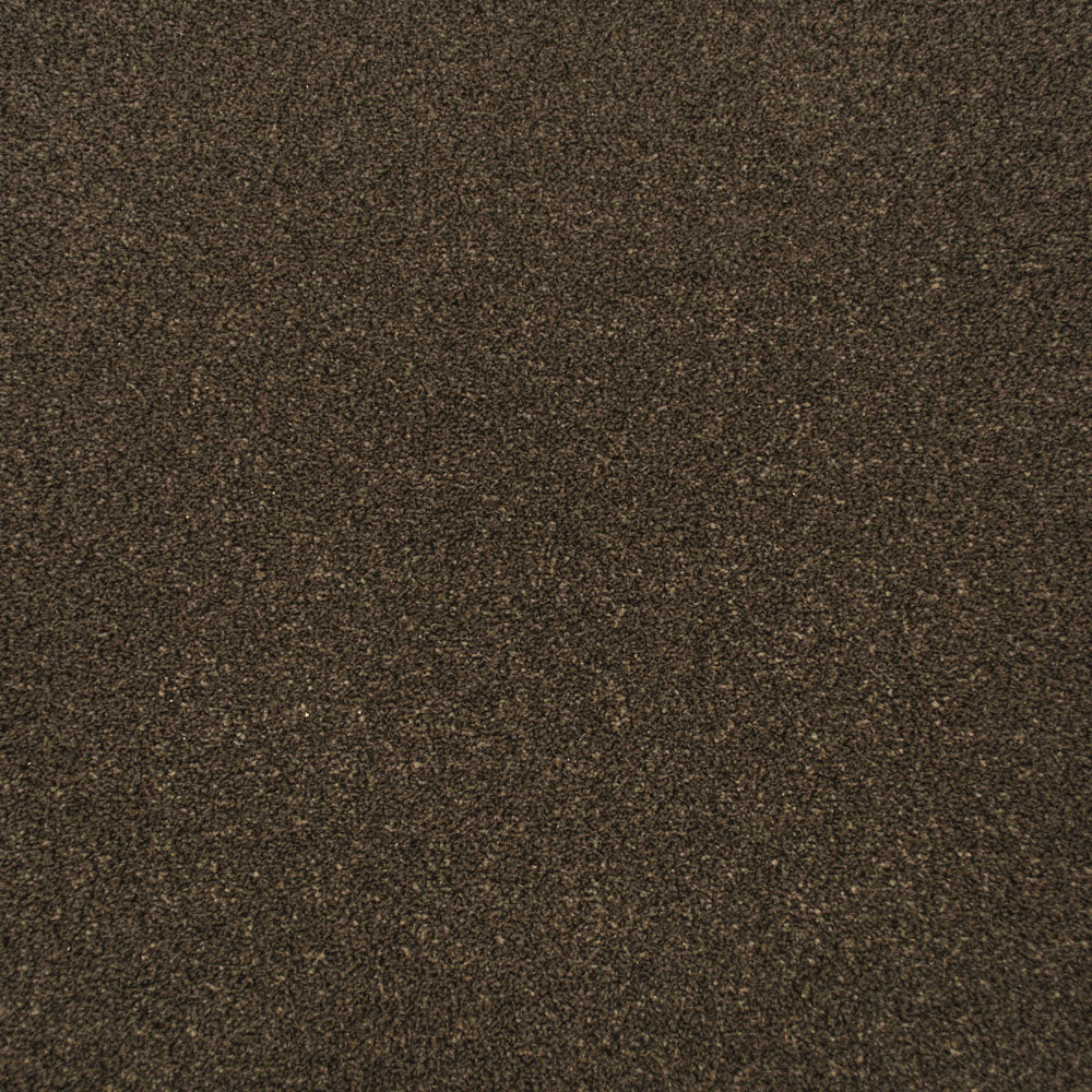 Tamarind Apollo Plus Carpet by Cormar - Image 6