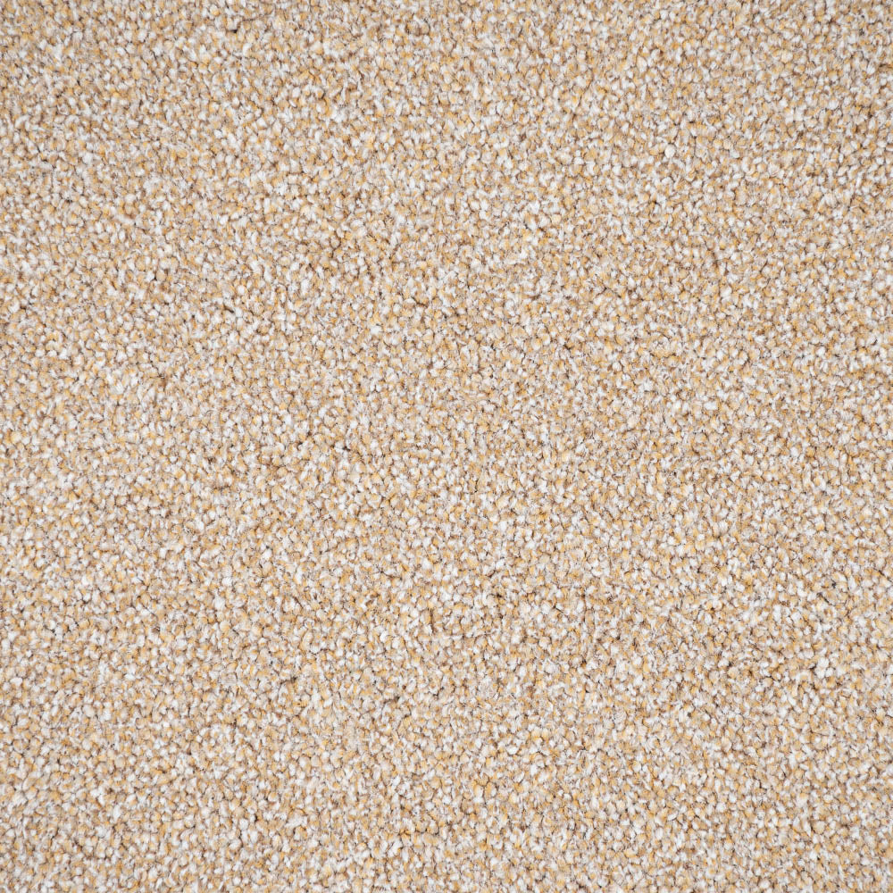 Tan Primo Naturals Carpet by Cormar - Image 3