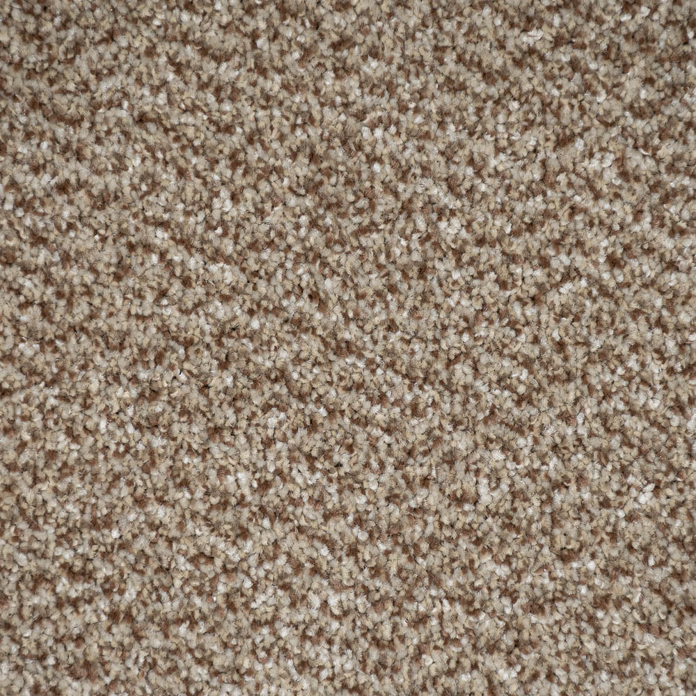 Taupe 13 Stainfree Tweed Carpet by Abingdon - Image 5