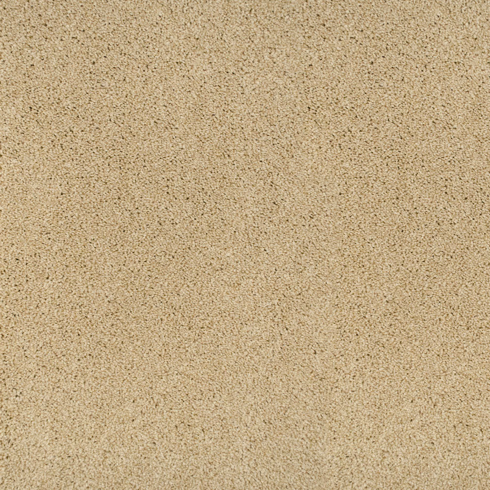 Temple 33 Pegasus 70oz Heathers Invictus Carpet - Image 4