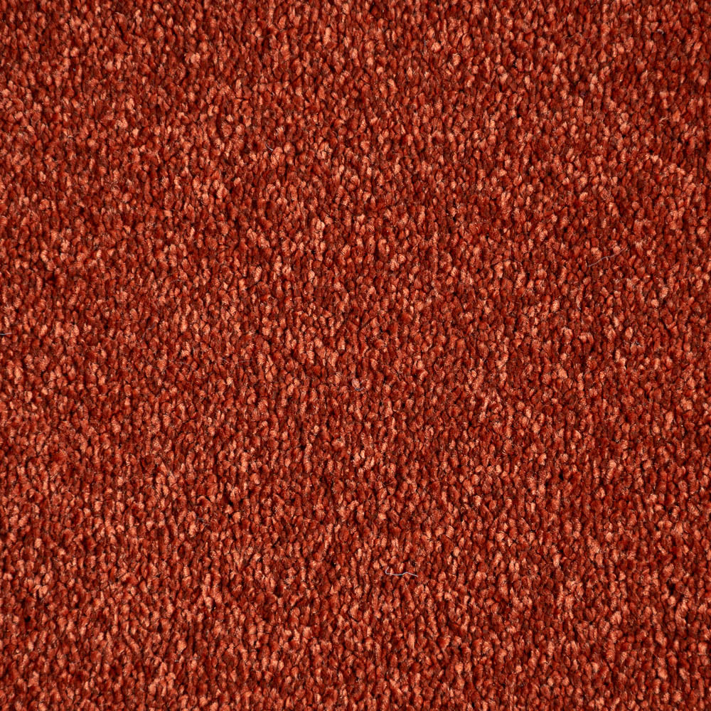 Terracotta Stainfree Caress Carpet by Abingdon - Image 3