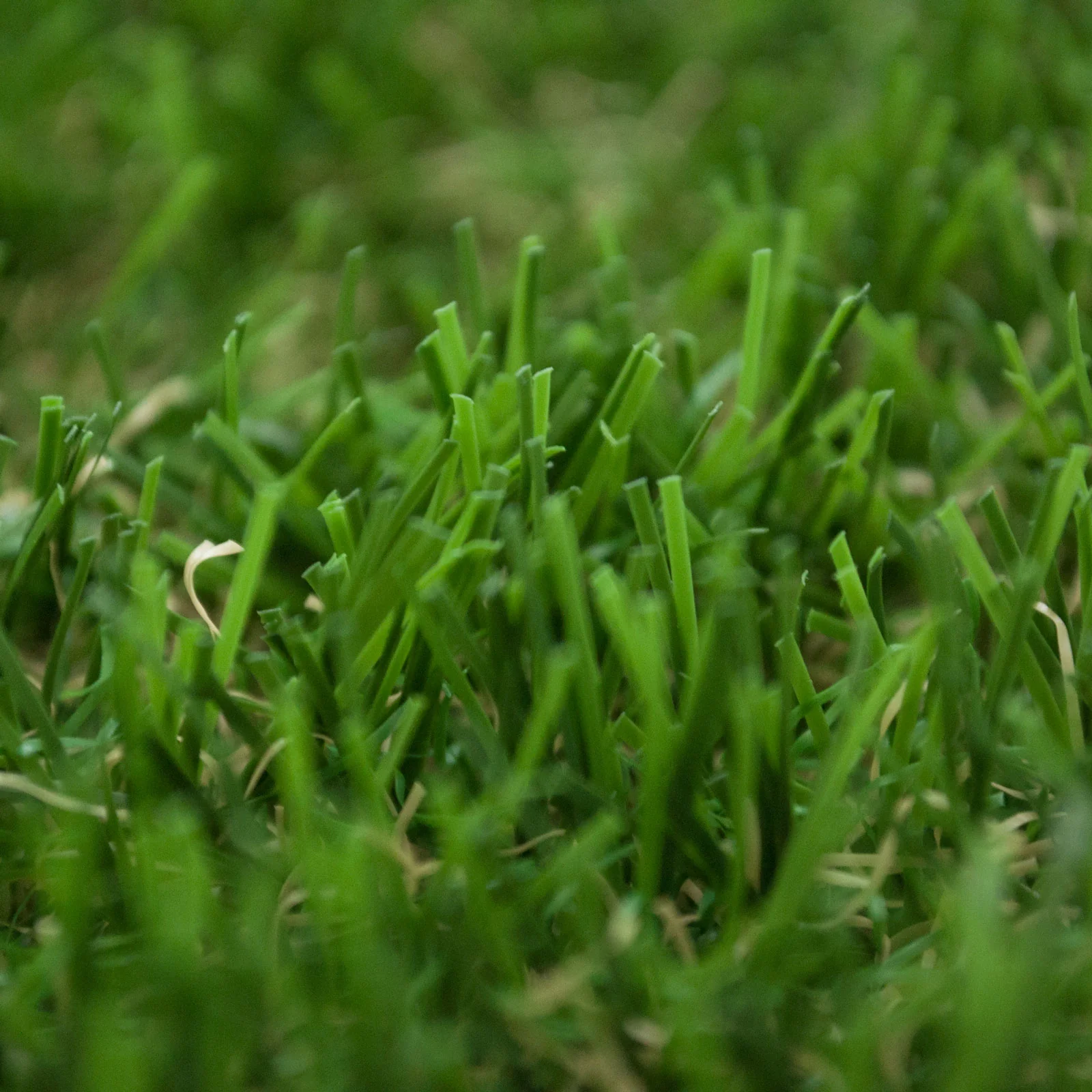 Thames 40 Artificial Grass - Image 6