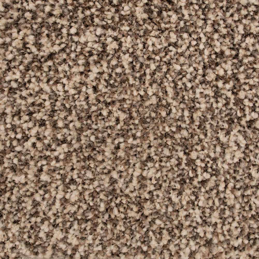 Timberwolf 93 Inspire Saxony Carpet - Image 3