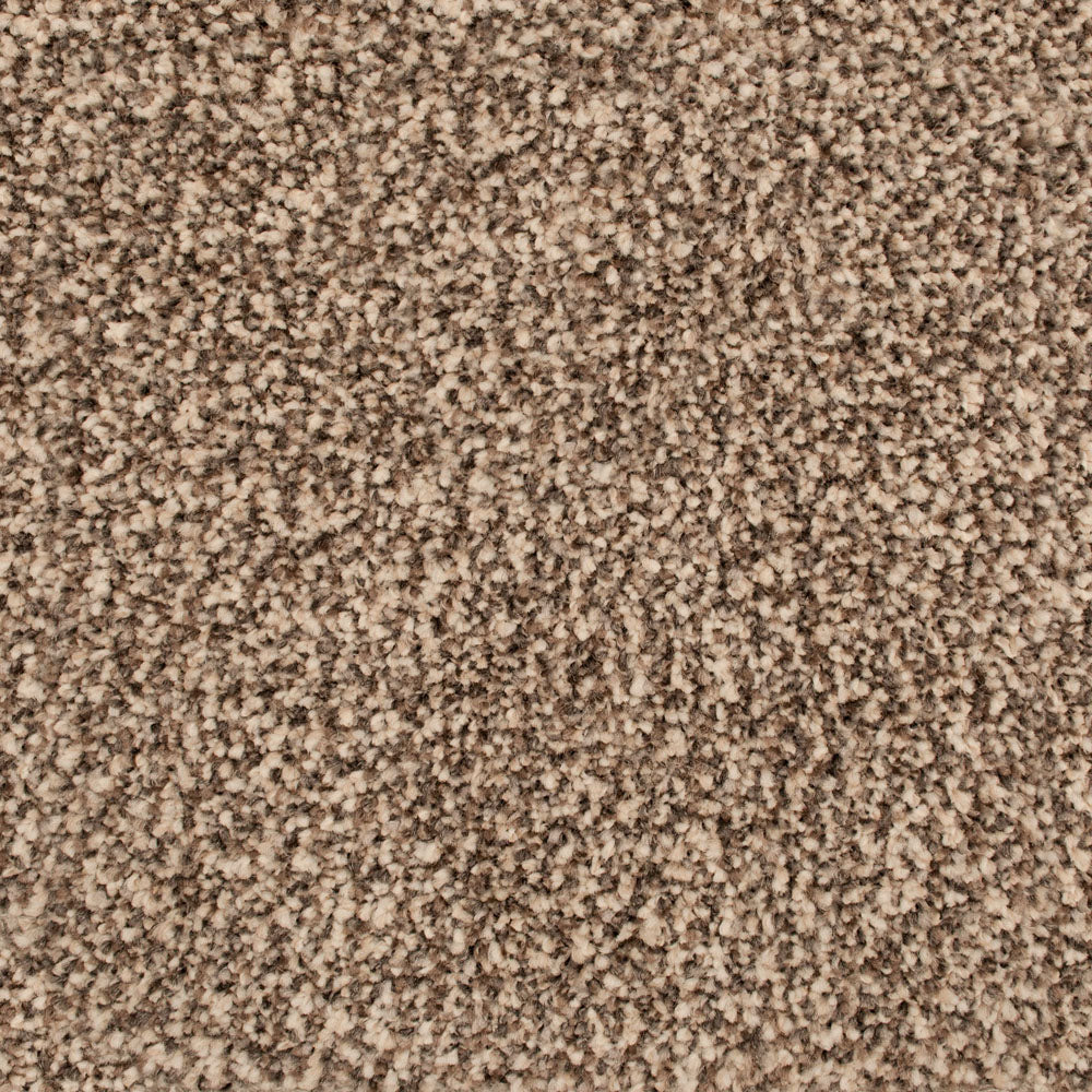 Timberwolf 93 Inspire Saxony Carpet - Image 4