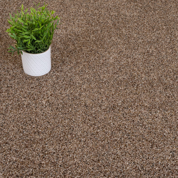 Treasure Island Wild Silk Love Story Carpet by Abingdon - Image 2