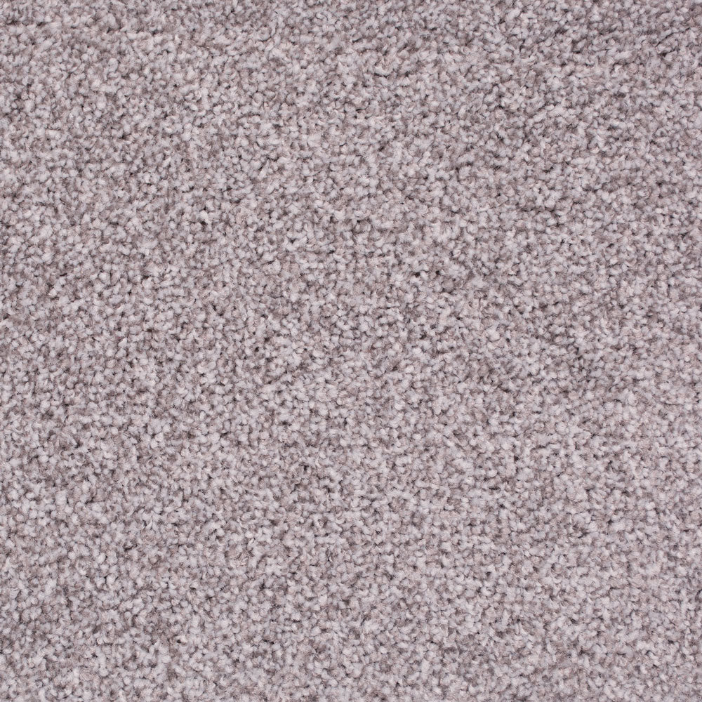 Tuftex Twist Carpet - Image 4