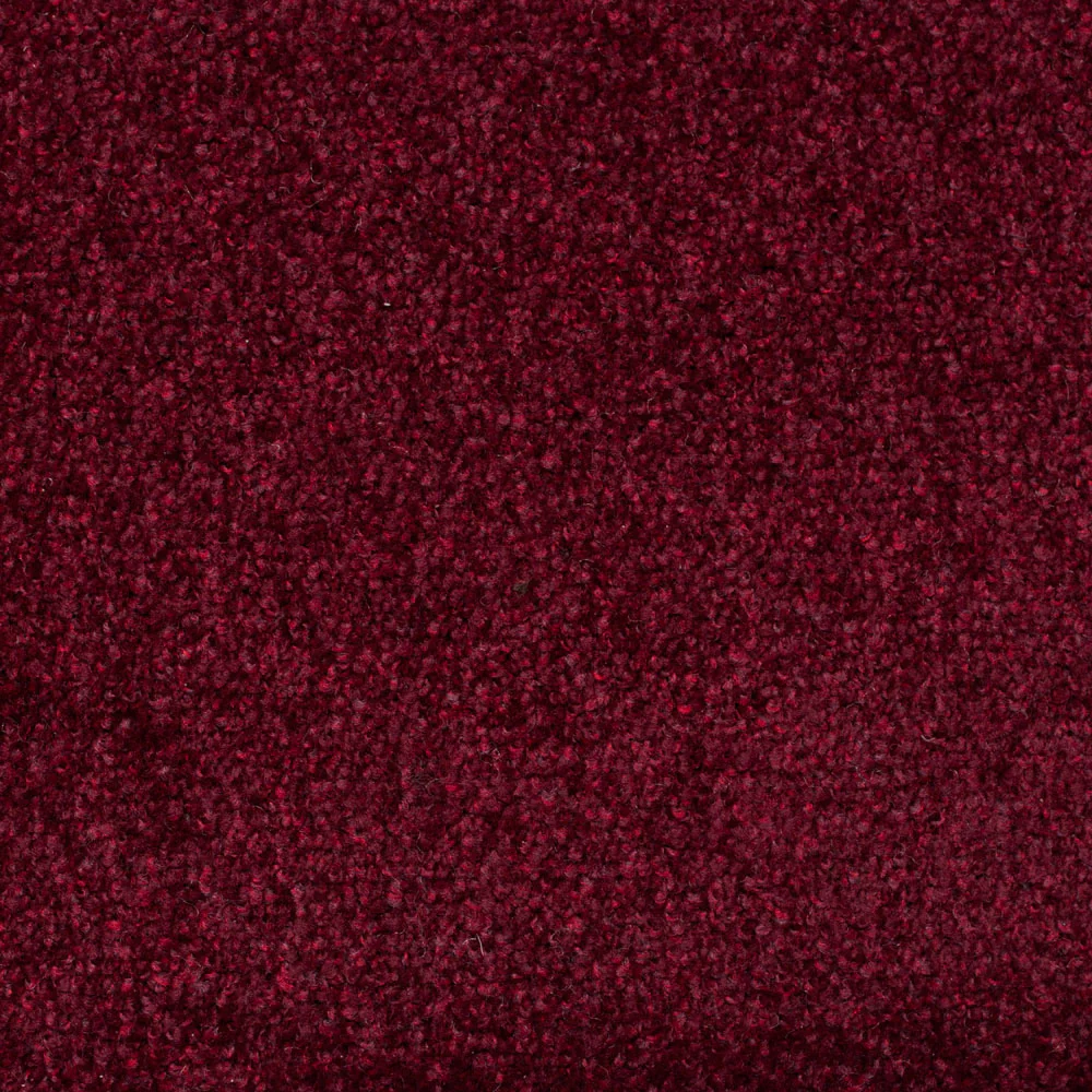 Tuftex Twist Carpet - Image 5