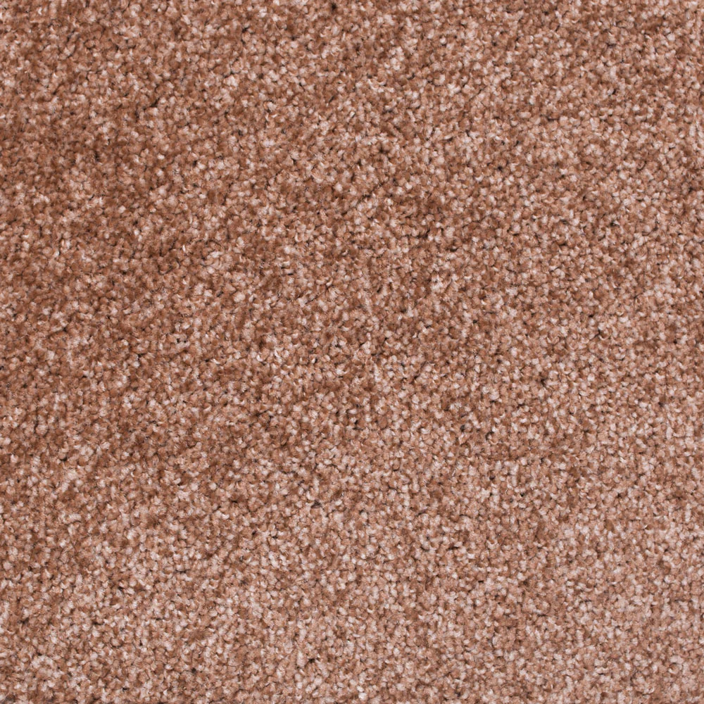 Tuftex Twist Carpet - Image 8