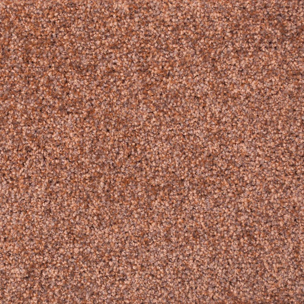 Tuftex Twist Carpet - Image 9