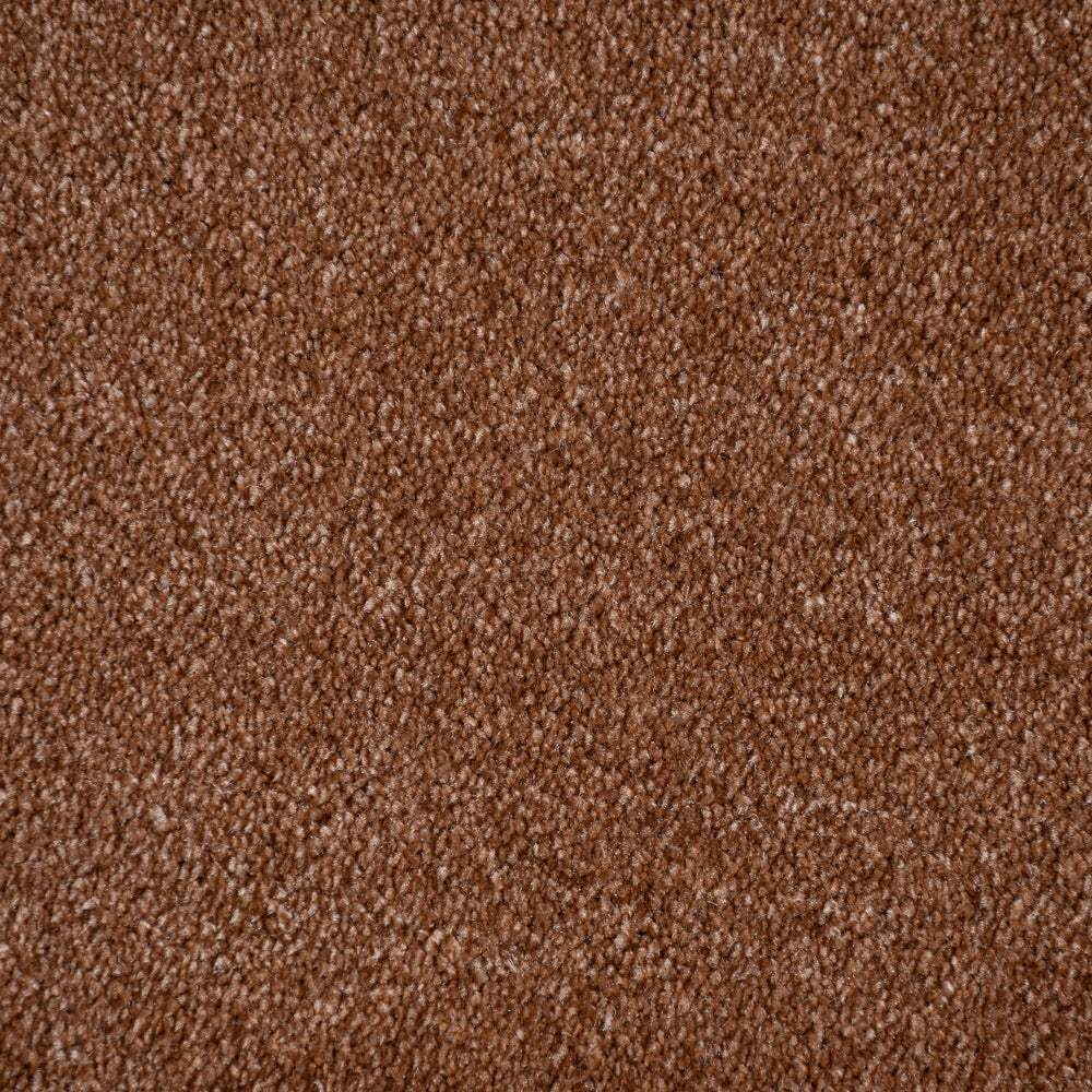Tuscan 84 iSense Obsession Carpet - Image 3