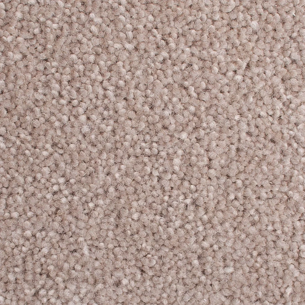 Tusk 50oz Home Counties Carpet by Cormar - Image 2