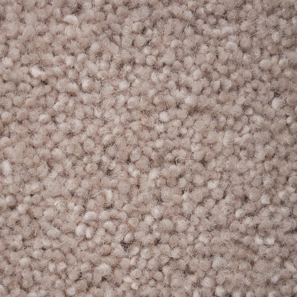 Tusk 50oz Home Counties Carpet by Cormar - Image 3