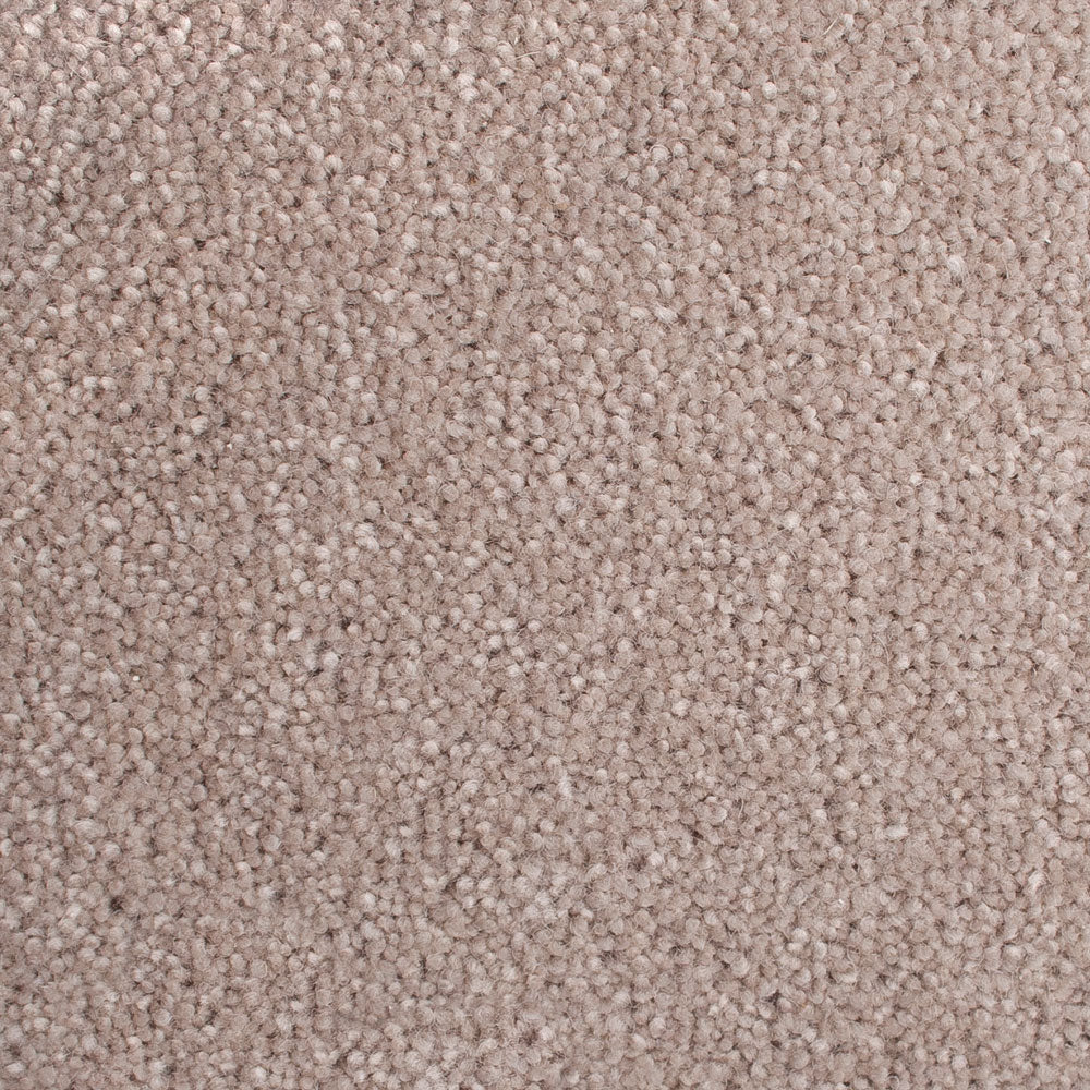 Tusk 50oz Home Counties Carpet by Cormar - Image 4