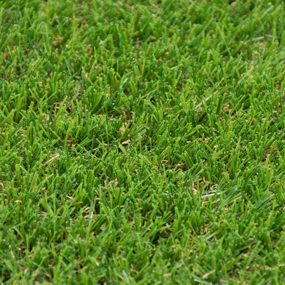 Tyne 30mm Artificial Grass - Image 4