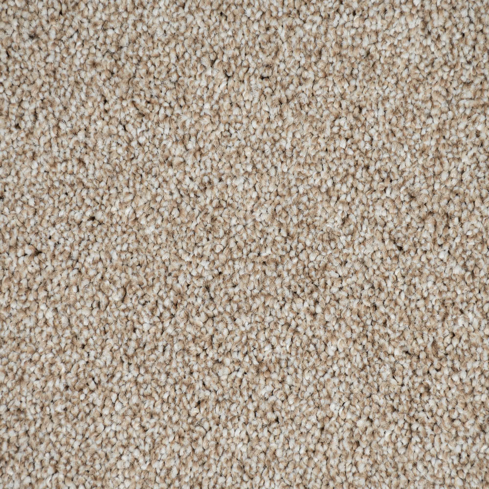Urban Chic 07 Stainfree Rustique Saxony Carpet by Abingdon - Image 3