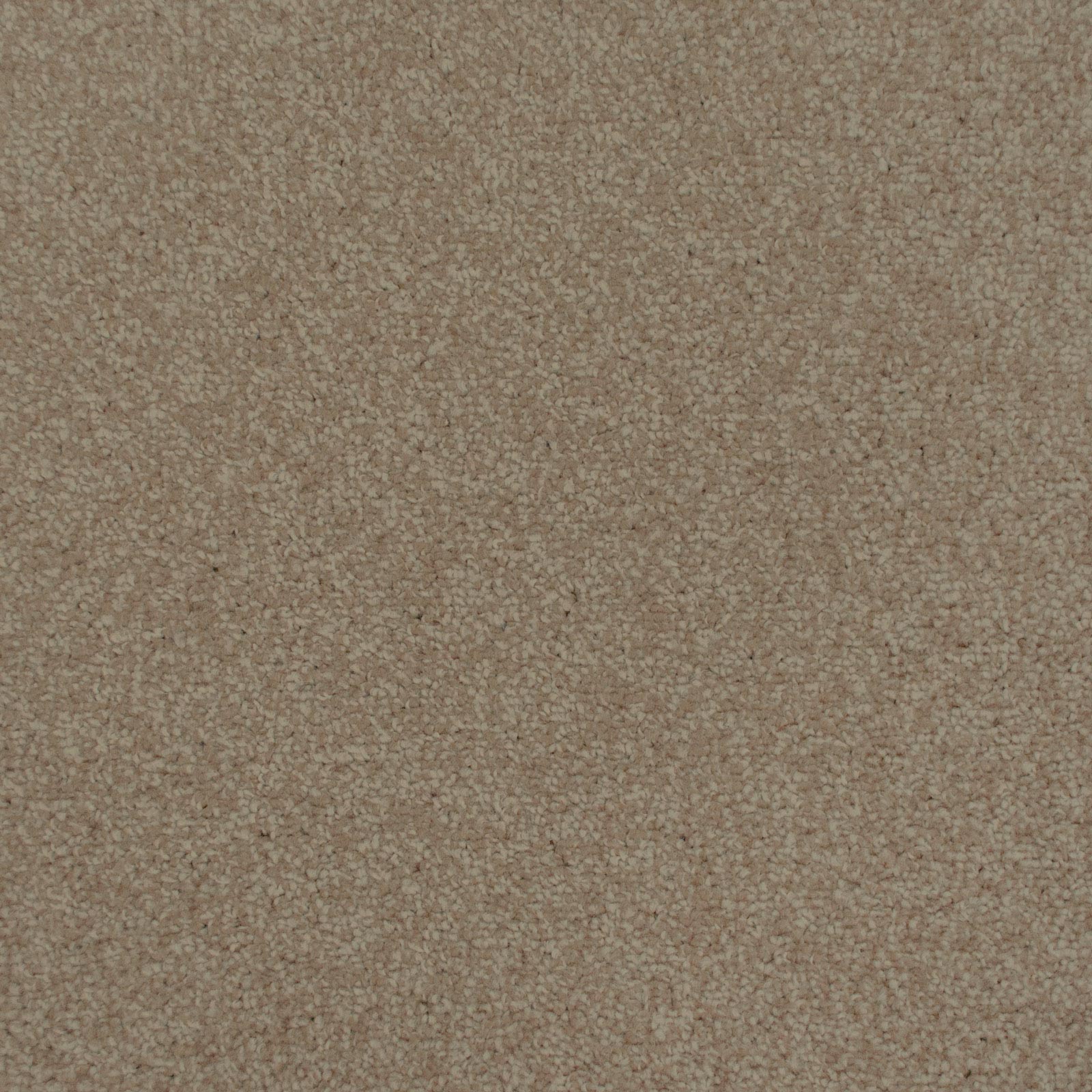 Urban Legend Action Backed Saxony Carpet - Image 3