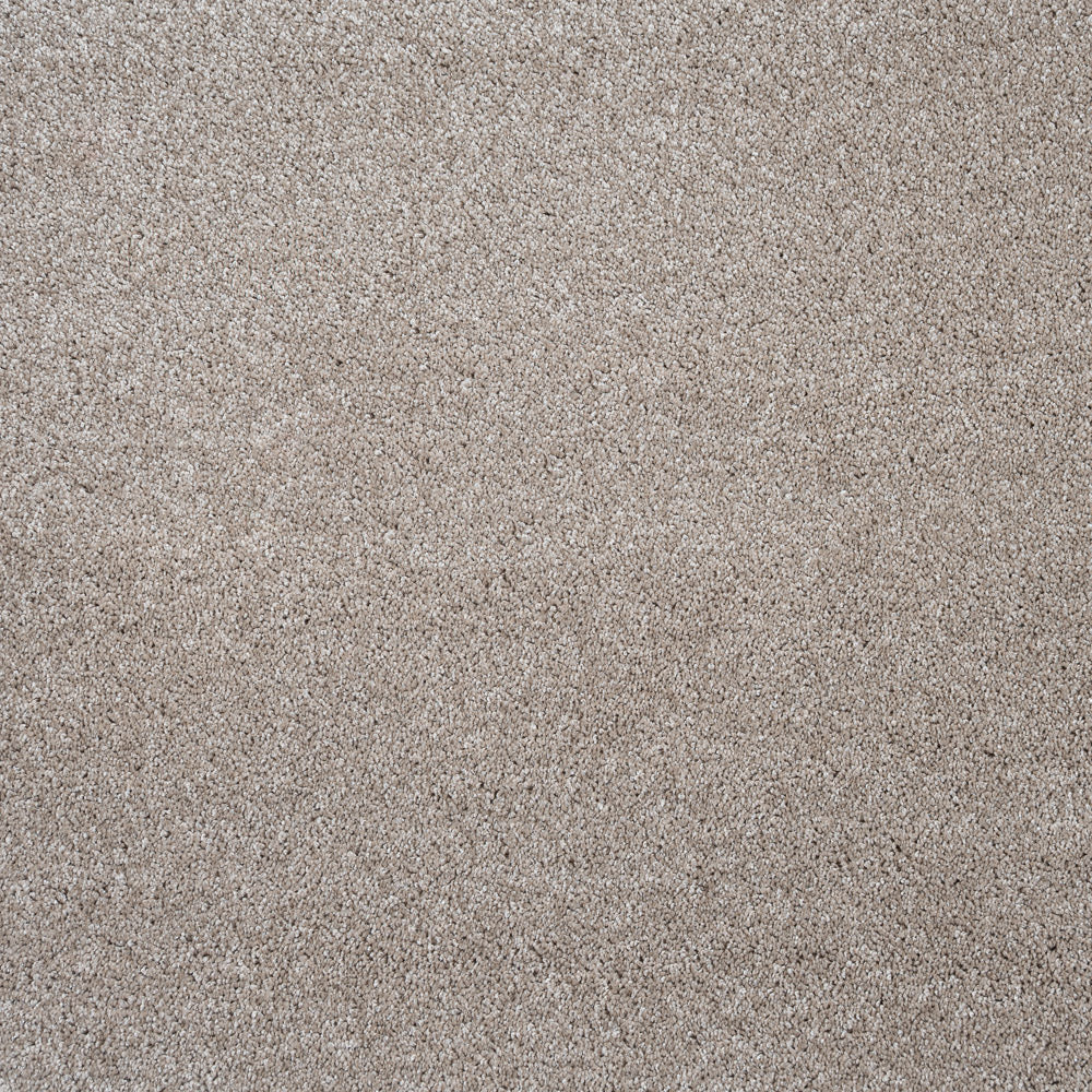 Vanilla 33 Centaurus Invictus Carpet - Image 2