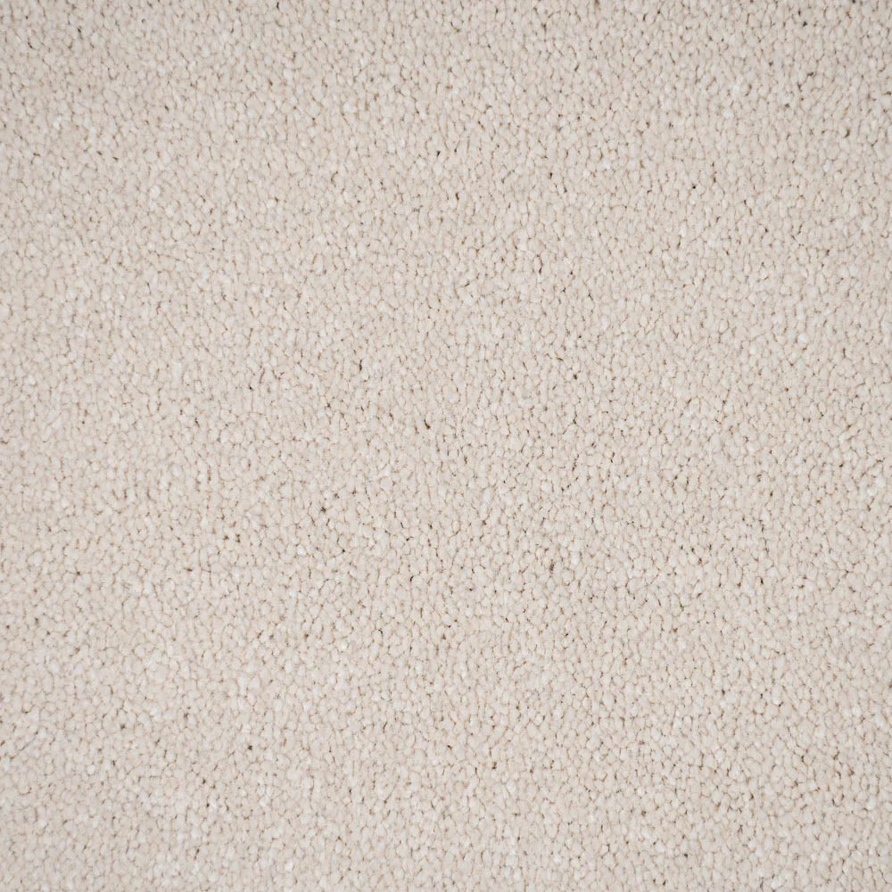 Vanilla Cream 69 Bellevue Saxony Carpet - Image 5