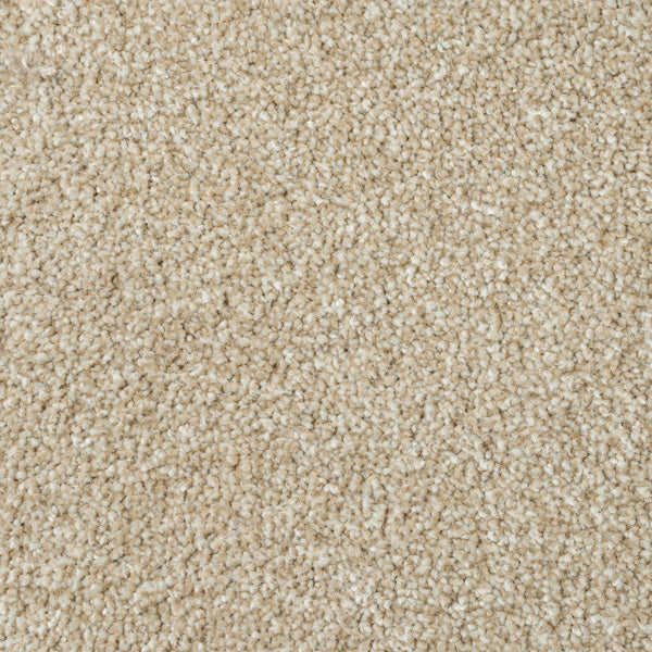 Vision Luxury Saxony Actionback Carpet - Image 5