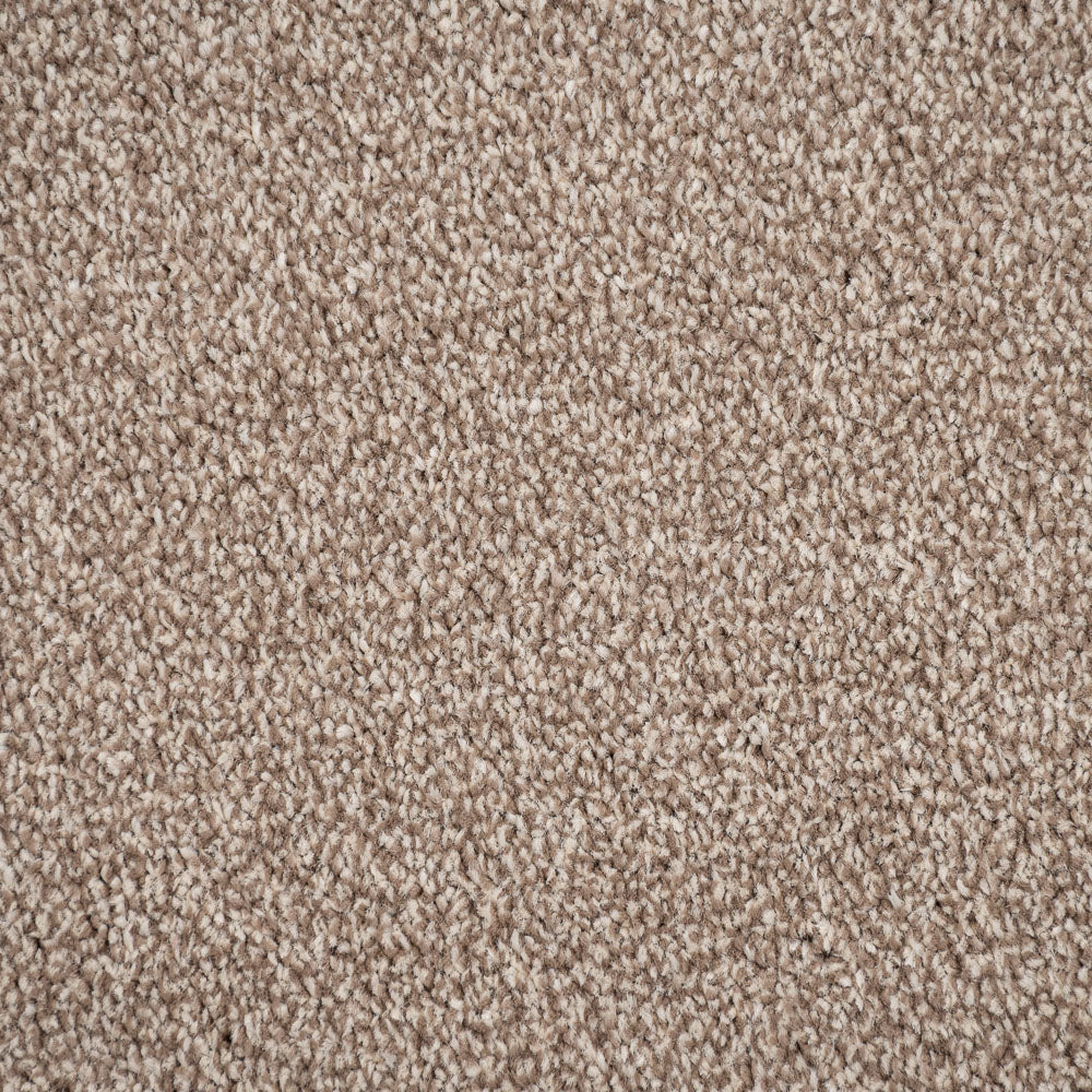 Warm Beige 673 Auckland Twist Carpet - Image 3