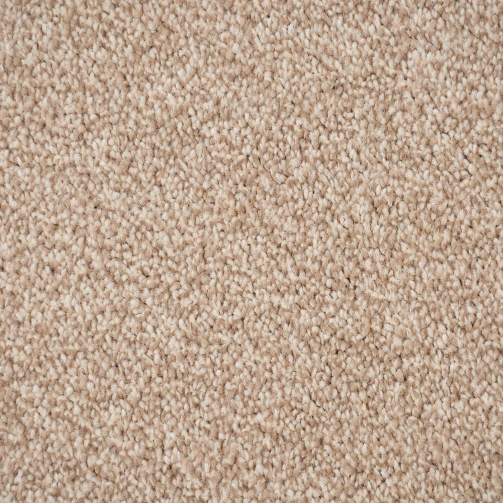 Warm Beige Delaware Saxony Carpet - Image 3