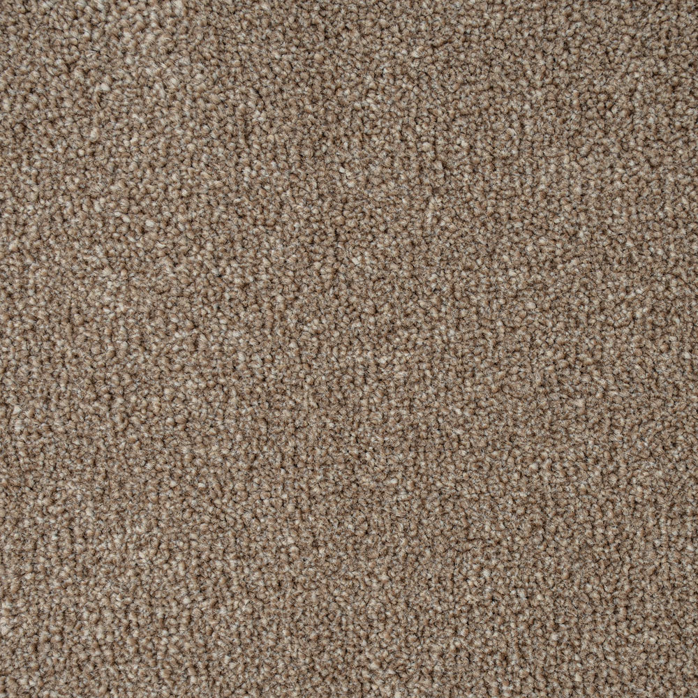 Warm Beige Indiana Saxony Carpet - Image 2