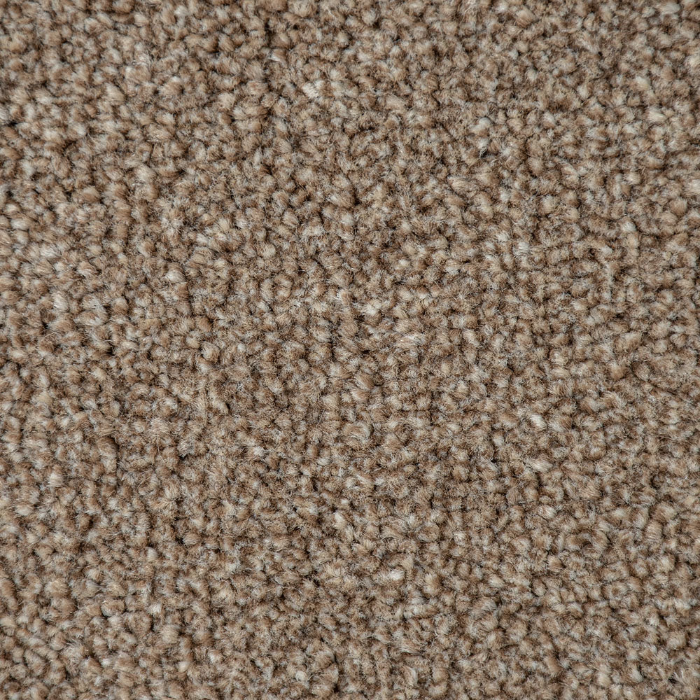 Warm Beige Indiana Saxony Carpet - Image 3