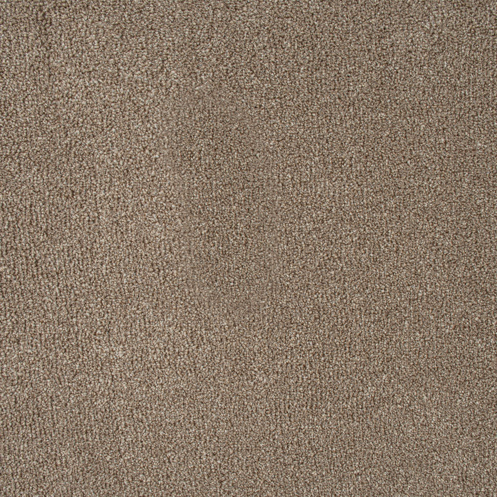 Warm Beige Indiana Saxony Carpet - Image 4