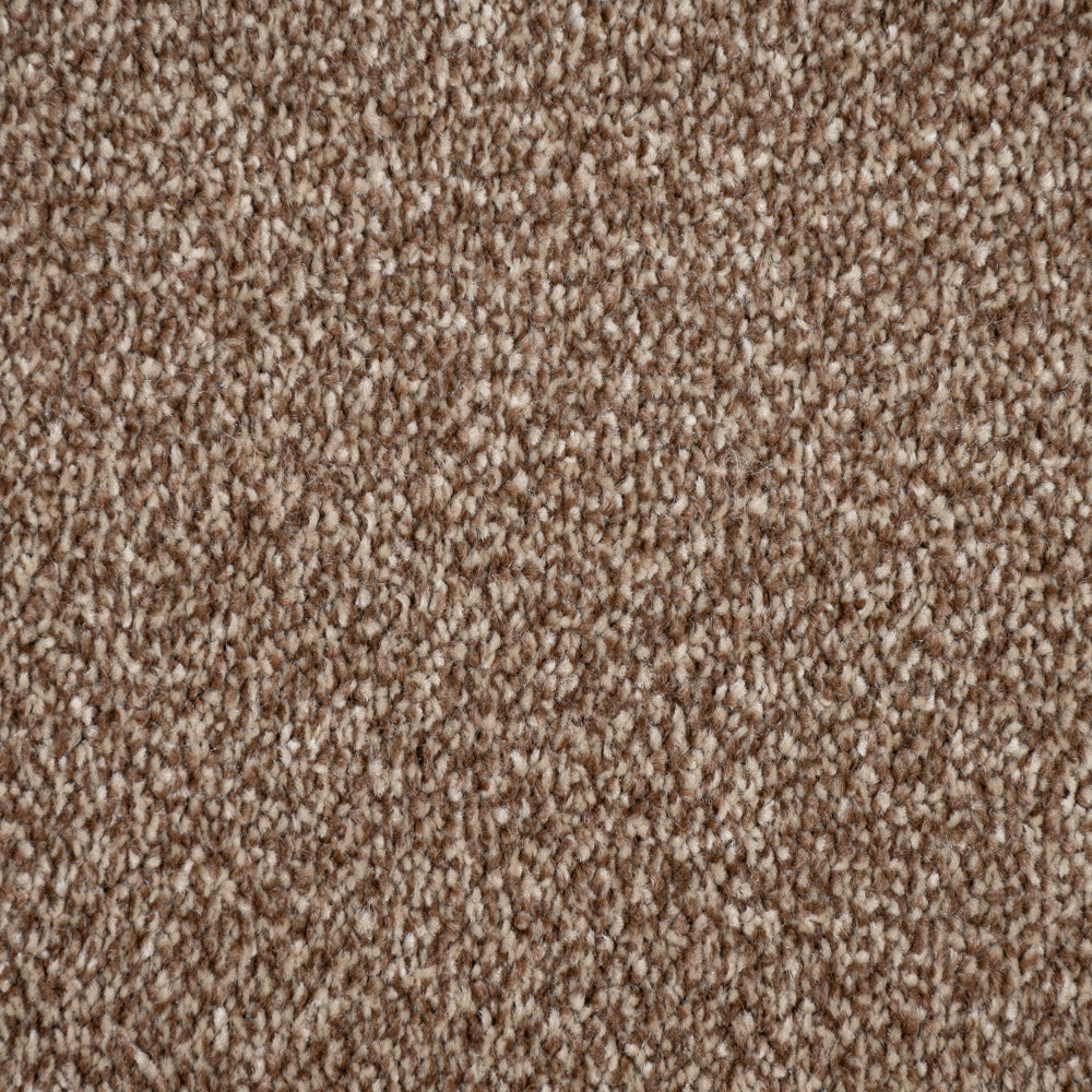 Warm Brown Polaris Luxury Saxony Carpet - Image 3