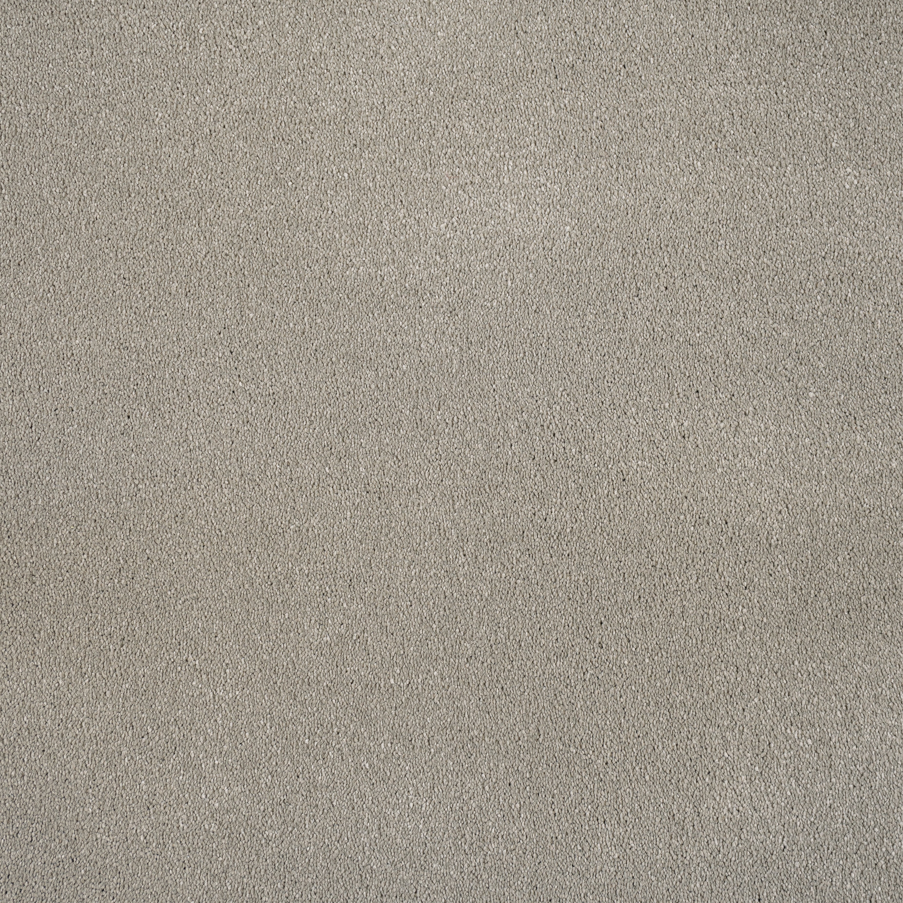 Warm Grey Moxie Saxony Carpet - Image 3