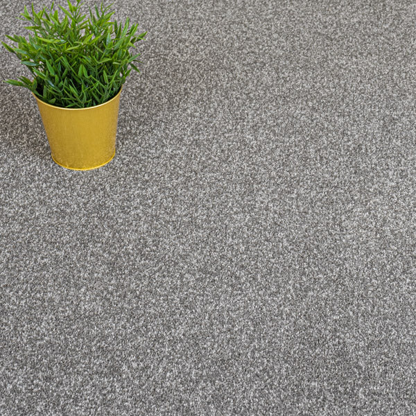 Warm Grey Versailles Twist Carpet - Image 2