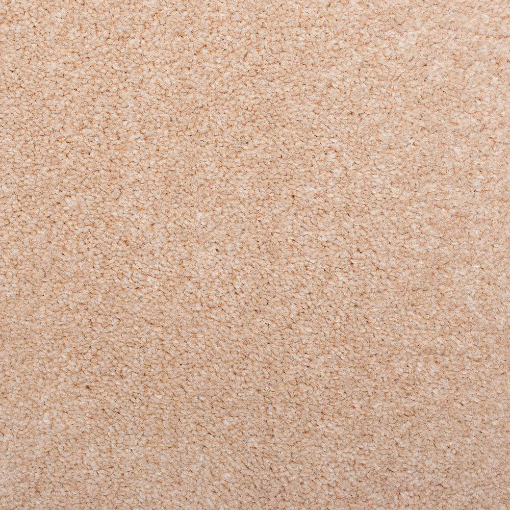Wheat Grass 220 Salisbury Twist Carpet