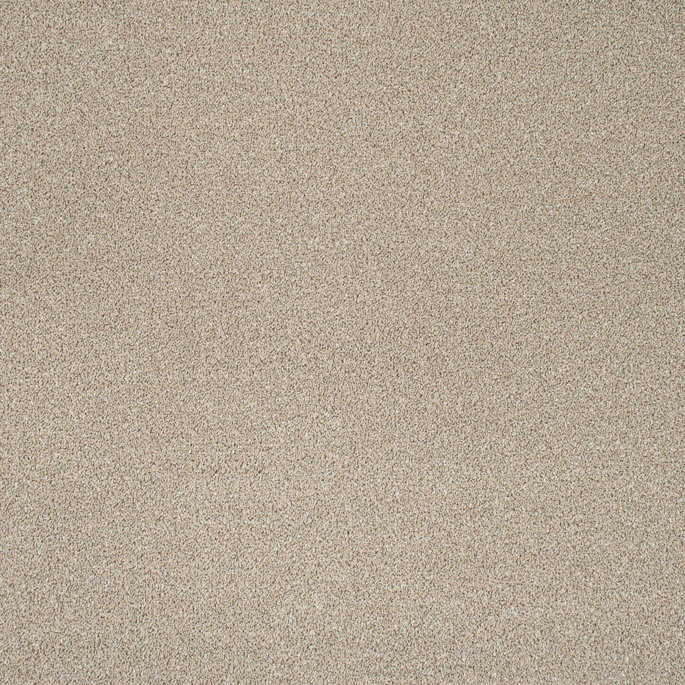 Wheat Mist Stainfree Knightsbridge Berber Carpet by Abingdon - Image 5