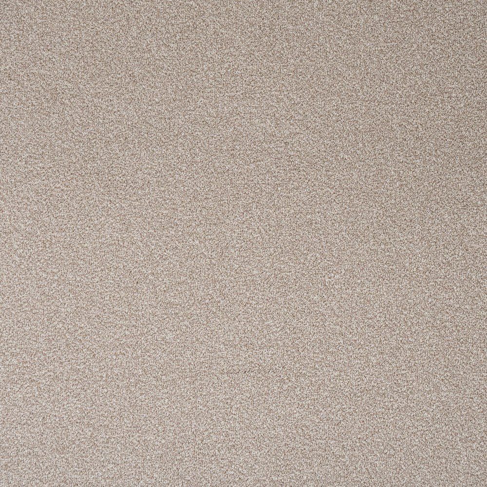 Wheat Stainfree Rustique Ultra Carpet by Abingdon - Image 5