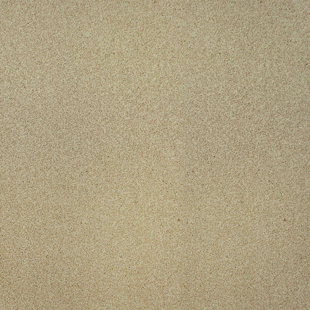 Wild Rice 05 Hercules Twist Invictus Carpet - Image 4