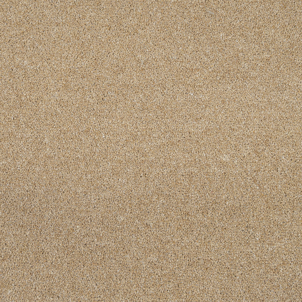 Wood Ash Pembroke Twist Carpet by Cormar - Image 5
